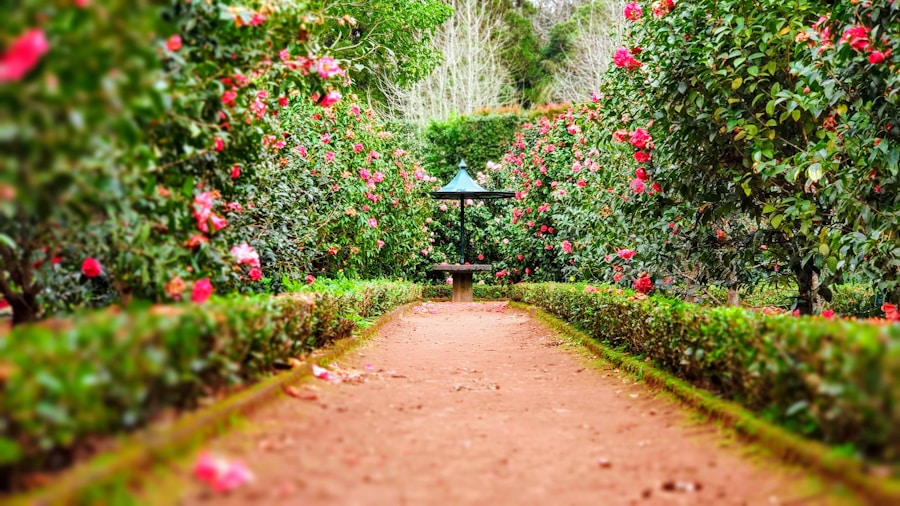 Florida gardening community