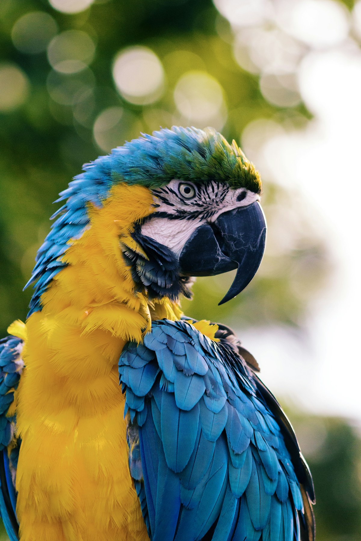 About Grow Native Florida